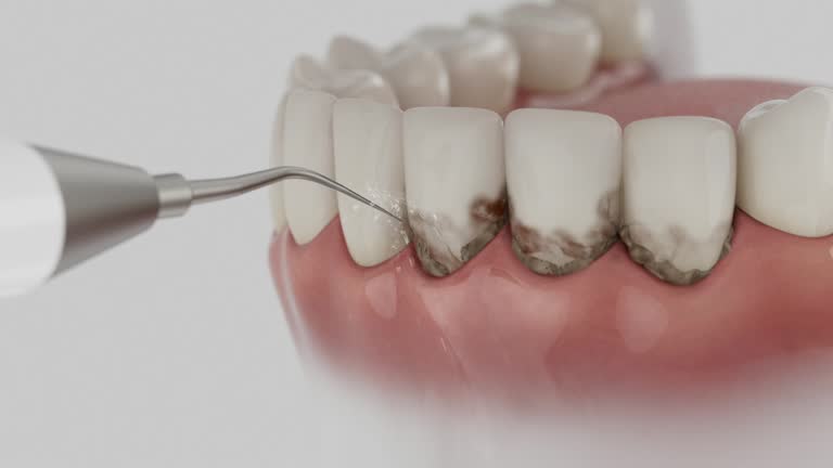 Reliable Dental contractor in Lillington, NC by Dentist Open Now